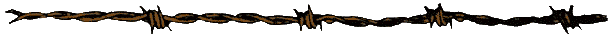 barra.gif (2868 bytes)