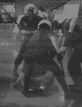 polib2.gif (21291 bytes)