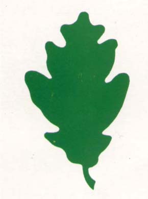 laurak.JPG (10097 bytes)